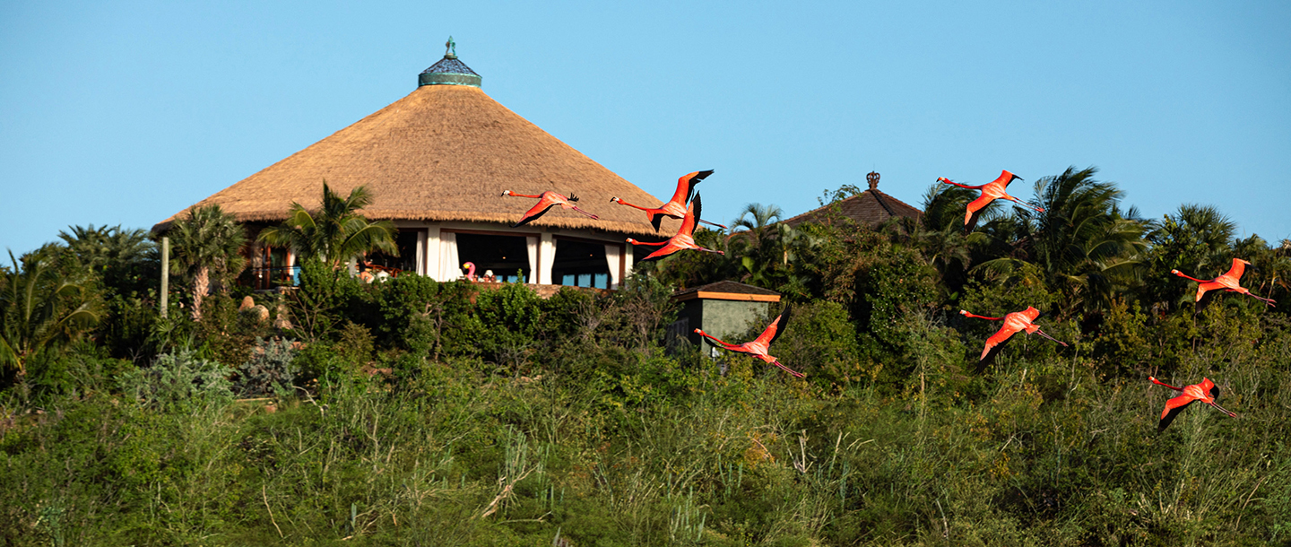 Necker Island Luxury Private Island Resort in British Virgin Islands